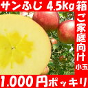 福島県産『サンふじ』、4.5kg箱(14〜25玉入)。訳ありご家庭用。ちょっと小粒・傷…でも味は一級品10P21dec10福島県産:シャリシャリ+りんごの甘味をどうぞ！葉とらずりんごじゃないのには甘いりんごに育つ訳がある！チョットだけ訳ありのご家庭用です。