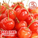 【訳あり】佐藤錦500g、不揃い・着色不足・ちょっと傷ありさくらんぼ 【発送時期:7月上旬頃まで予定】【あす楽対応_東北】【あす楽対応_関東】【あす楽対応_甲信越】【あす楽対応_北陸】【あす楽対応_東海】【あす楽対応_近畿】10P24Jun13