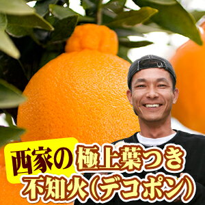 ȤäƺݤβСʥǥݥˡۤϡҤȤĤҤȤڤ˰Ƥ줿̣βСʥǥݥդäѤĤʾ֤ǤȤ줿ƤϤȤζ˾դĤβСʥǥݥ