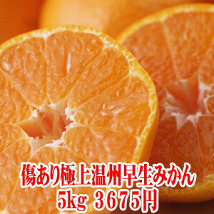 ڵ²λˡμŹ°å¼夬뤱̣˾岹ߤ5kgS۴ŤߤȻ̣ΥХ󥹤ɤ̣äƤ