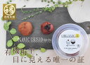 無添加 減塩 オーガニック有機梅干し 紀州南高梅 梅干し無農薬 ORGANIC USUSHIO 60g(塩分13%)