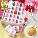 19日-21日限定ポイント3倍 母の日 早割 ギフト 送料無料 梅干し はちみつ梅 減塩 国産 プレゼント 免疫力アップ 疲労回復 ※北海道・沖縄を除くグルメ大賞受賞!最高級紀州はちみつ梅2種類のお味を選べる♪【当店一番人気!華結 15粒入!】