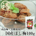 【国産】【紀州南高梅】ほし梅　100g　ほんのり甘〜く一粒・二粒とクセになって止まらない！梅本来の味をお楽しみ下さい♪お茶請けにもピッタリです（＾▽＾）ノ【RCPmara1207】