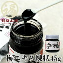 青梅の果汁を煮詰めて作る昔からの梅の健康食品 梅エキス(梅肉エキス) 練状45g【RCP】
