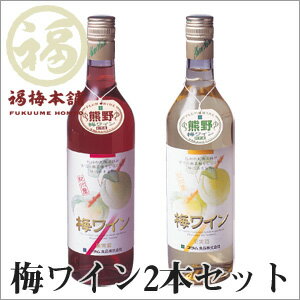 【南高梅使用】梅ワイン2本セット　ロゼ・白酒類ご購入のお客様へ未成年者飲酒禁止法に基づき、ご注文者の方の年齢についていずれかご選択ください。ご回答がない場合、未成年者への酒類の販は出来ませんのでご了承ください。【RCPmara1207】紀州南高梅と熊野地方の清水をもちいて造り上げました