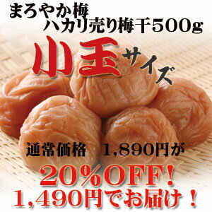 【第30弾】【紀州南高梅】ご家庭用梅干しまろやか梅小玉サイズ250g×2パック（お一人様5個まで）【レビュー対象商品】【RCPmara1207】こんなサイズの梅干しが欲しかった！お客様のご要望にお応えして、中粒サイズより小さな梅干しをご用意しました^＾お得意様限定モニター価格でお届けします♪