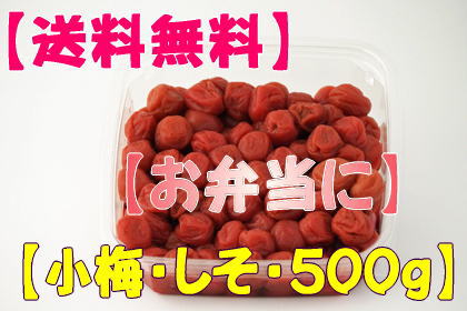 梅干し：しそ漬け小梅(ご家庭用)　500g【2sp_120810_green】【送料無料】 【暑さ対策】