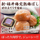 梅干し:新・福井梅完熟梅ぼし甘仕立てうす塩味お試しパック120g10P05Nov16