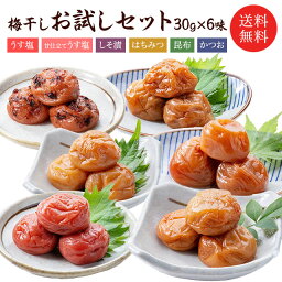 1000円 ポッキリ 梅干し 送料無料 福梅ぼし6味お試しセット各30g×6味 はちみつ 無添加しそ漬 うす塩 こんぶ かつお 甘仕立てうす塩味 セット商品 食べ比べ <strong>ご飯のお供</strong> 福井県産紅映梅 国産 バニリン お取り寄せ グルメ お試し 福梅 福梅ぼし