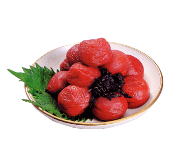 ҡʤѡˡ2.4kg5