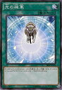 遊戯王/第9期/ストラクチャーデッキR-巨神竜復活-/SR02-JP034 光の援軍