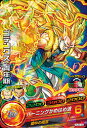ドラゴンボールヒーローズ/HUM-22 ゴテンクス:青年期