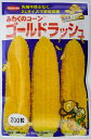 【サカタのタネ】みわくのコーン ゴールドラッシュ 200粒