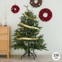 クリスマスツリー 150cm グリーン ツリー 組立 もみの木 インテリア 北欧 Xmas シンプル クリスマス おしゃれ スリム 単品 307-00005 PE&PVCクリスマスツリー150cmSR31670-150