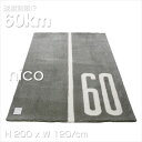 I nico jR Xg[gO STREET RUG 60KM/H  YfUCEHO ...