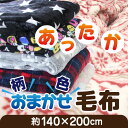 あったか毛布 色柄おまかせ シングルサイズ ブランケット マイクロファイバーやニューマイヤー毛布 防寒寝具