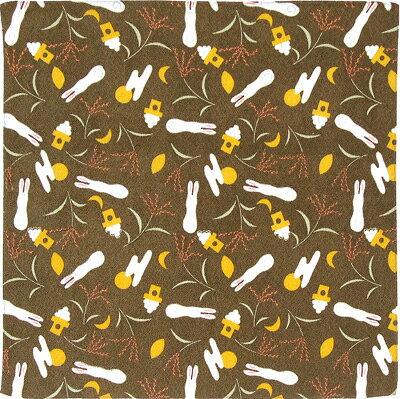 Хå˰ǦФΤˤԤäꡡϤߡ45cm