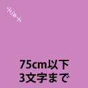 名入れ / 75cm以下の風呂敷に / 姓か名前を入れる場合（3文字まで）（風呂敷・ふろしき）