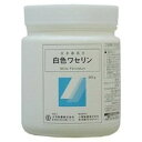 【第3類医薬品】大洋製薬 日本薬局方 白色ワセリン 500g
