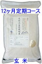木村式自然栽培宮城県産ササニシキ5kg（ 玄 米 ）12ヶ月定期コース