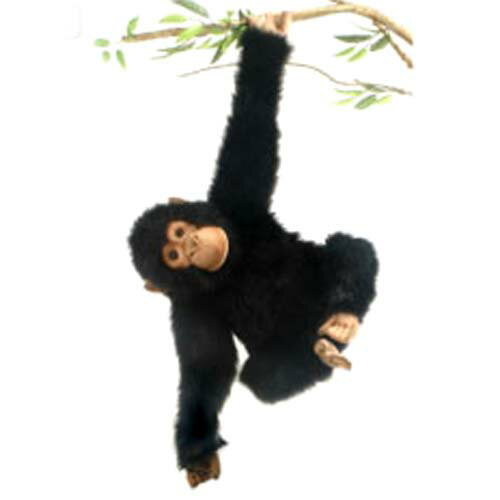 HANSA(ハンサ)　ぬいぐるみ　チンパンジー　46cm[※メール便不可]