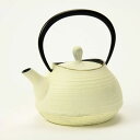 カラフル南部鉄器【壱鋳堂】 ティーポット(鉄瓶)