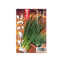 わけぎ 球根 【はつかネギ 150g】※梱包時1kgを超える場合はメール便での発送不可の為、受注お知らせメールを御確認下さい。