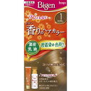ビゲン 香りのヘアカ...