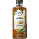 ハーバルエッセンス ビオリニューゴールデンモリンガオイルシャンプー 400ml*配送分類:1