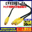 ★メール便対応可能★ ビデオ2分配ケーブルCOMON(カモン) VDF-YFRCAx1(メス)→RCA(メス)x2個【ピンプラグ黄色(メス)→ピンプラグ黄色(メス)x2】【長さ:30cm】【ROHS対応】【端子:金メッキ】