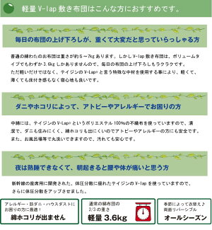 オールシーズン軽量・体圧分散型テイジンV-Lap軽量敷き布団シングルサイズ(約100×200cm)軽いふかふか体圧分散TEIJINV-Lap日本製テイジンv-lap軽量敷き布団teijin軽量敷布団v-lapteijin軽量敷布団v-lap