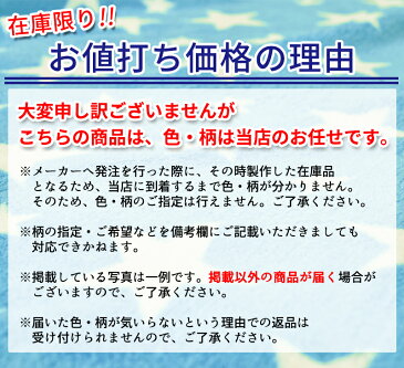 毛布 色 柄おまかせ 毛布 マイクロファイバー プリント ブランケット シングル 140×200cm フランネル 軽い 薄い 洗える やわらか ふんわり ケット ひざ掛け ひざかけ プリント S_YK 《6.S1.TS4》