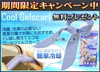 期間限定キャンペーン