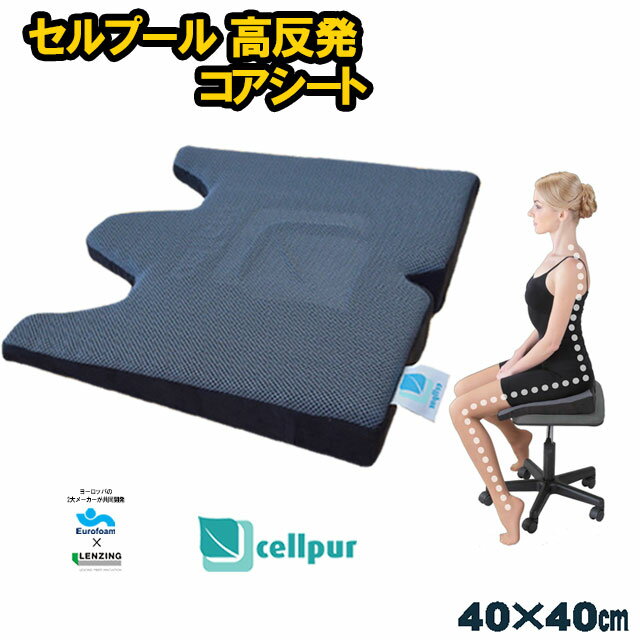 ■ポイント10倍■送料無料■2年間保証書付■Cellpur セルプール 高反発シートクッシ…...:futon:10041144