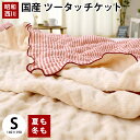 【クーポンで100円OFF】【送料無料】 昭和西川 国産 イ...
