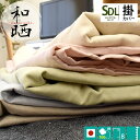 国産 和晒し 無添加ガーゼ 掛け布団カバー(夏はガーゼケット代わりにも) セミダブルロング(170×210cm) 国産(日本製) 和晒し(わざらし) エコテックス100認証 綿100%/無地/セミダブル/布団カバー【納期2週間以上】【CTN】【GZ】