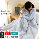 西川 肌掛け布団 【ポイント5倍★26日09:59