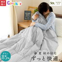 肌掛け布団 西川 セミダブル 東京西川 ダウン85% 羽毛肌掛け布団 セミダブルロング 1