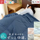 西川 ダウンケット ウォッシャブル 肌掛け布団 【2枚組】羽毛 シングル【送料無料】洗