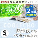 2枚組【送料無料】西川 敷きパッド シングル 100×205cm 東京西川 東レ セオα 吸水速乾 裏メッシュ さらさら 敷パット汗取りパッド 敷パッド 敷パット 春 夏 パッドシーツ・ベッドシーツ兼用 四隅ゴムひも付き 洗える マット 涼感寝具【あす楽対応】2枚セット
