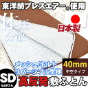 【クーポンで1500円OFF】東洋紡 ブレスエアー セミダブル メッシュキルト生地 ブレスエアー敷き布団 115×205cm 送料無料 国産 日本製
