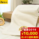 【2019年福袋】開運★ 東京西川 シルク毛布 毛布福袋 2...