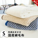 【訳あり】【色柄込み】色柄おまかせ 国産 綿毛布 シングル 約140×200cm 毛羽 綿100%