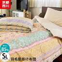 【23日20時〜24日迄P5倍】☆期間限定☆西川 肌掛け布団 洗える ダウンケット シングル