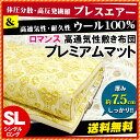 【6/30AM01:59迄ポイント10倍】【送料無