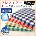《2枚セット 送料無料》東洋紡 ブレスエアー シートクッション 綿100% チェック柄カバー付 (約40×40cm×厚み約4cm) 【正方形 洗える シート クッション いす用 手洗い ウォッシャブル 日本製 国産 ブレスエア 座布団】