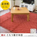 【クーポンで100円OFF】【送料無料】西川 こたつ ラグ ...