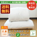【送料無料】【軽量】ジュニア布団セット【2点】キッズ布団 新...