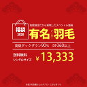 【福袋 2020】有名メーカー羽毛布団 シングル ダックダウ...
