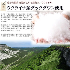 西川羽毛ふとん羽毛布団家庭で丸洗いできる!高級ウクライナ産ホワイトダックダウン90%使用日本製国産ウォッシャブル洗える羽毛掛布団シングルロングサイズシングルサイズ150×210Sleepcomfy西川産業東京西川コンパクトスリープコンフィー【送料無料】